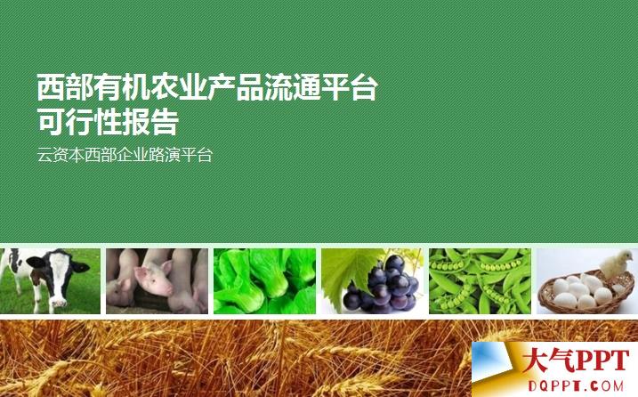 农业产品流通平台可行性报告ppt
